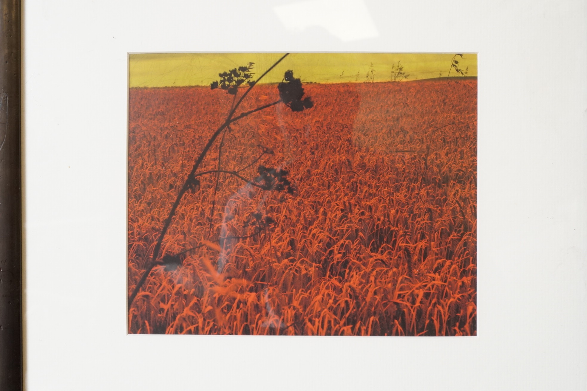 Three photographic prints, Landscapes and Sunflower in a vase, unsigned, largest 17 x 27cm